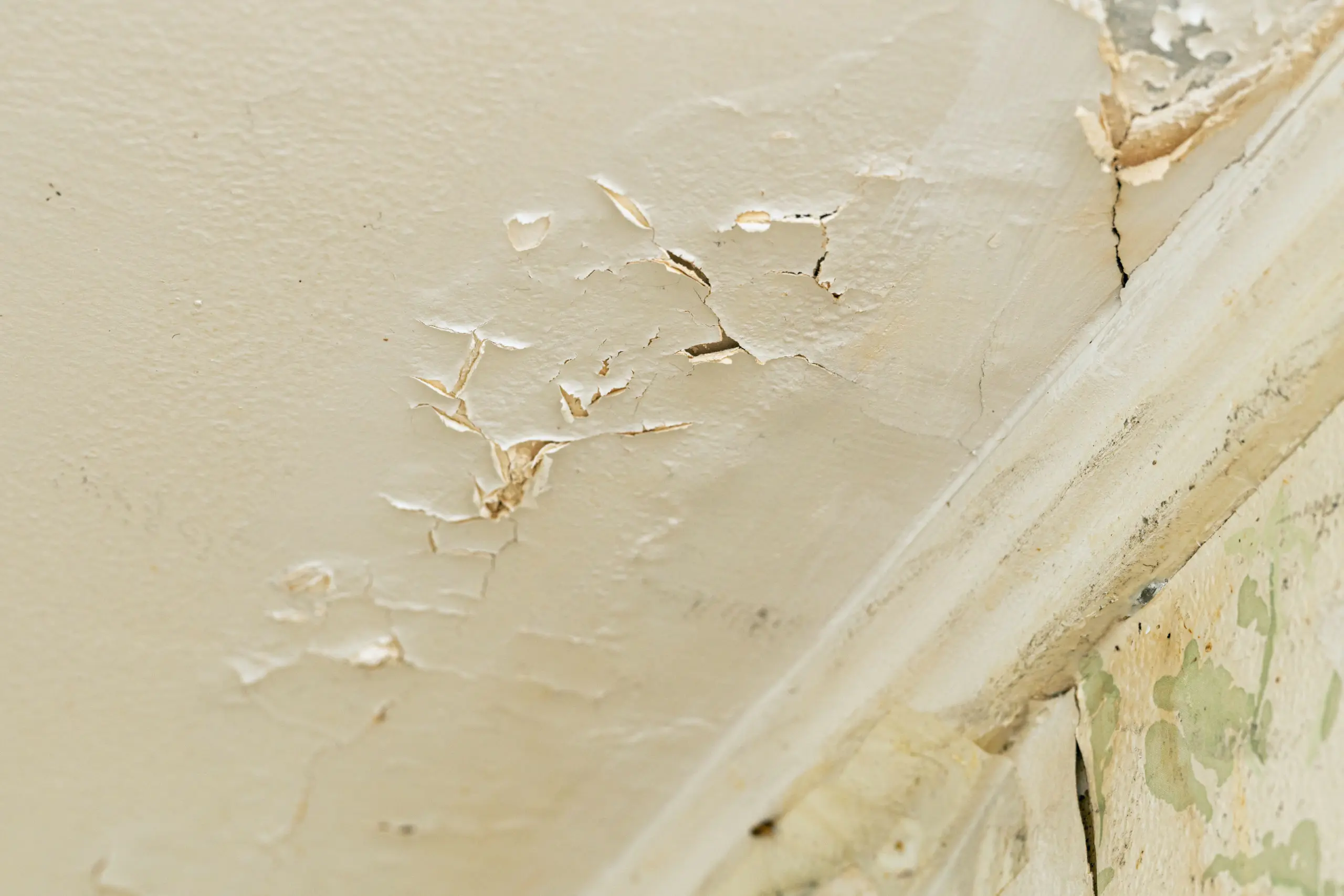Peeling paint from water infiltration
